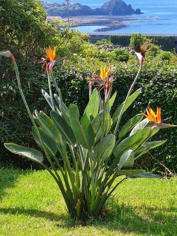 Casa Da Ribeira Bed and Breakfast Lajes do Pico Exterior foto